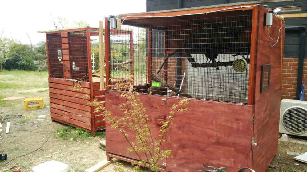 カラス小屋の制作