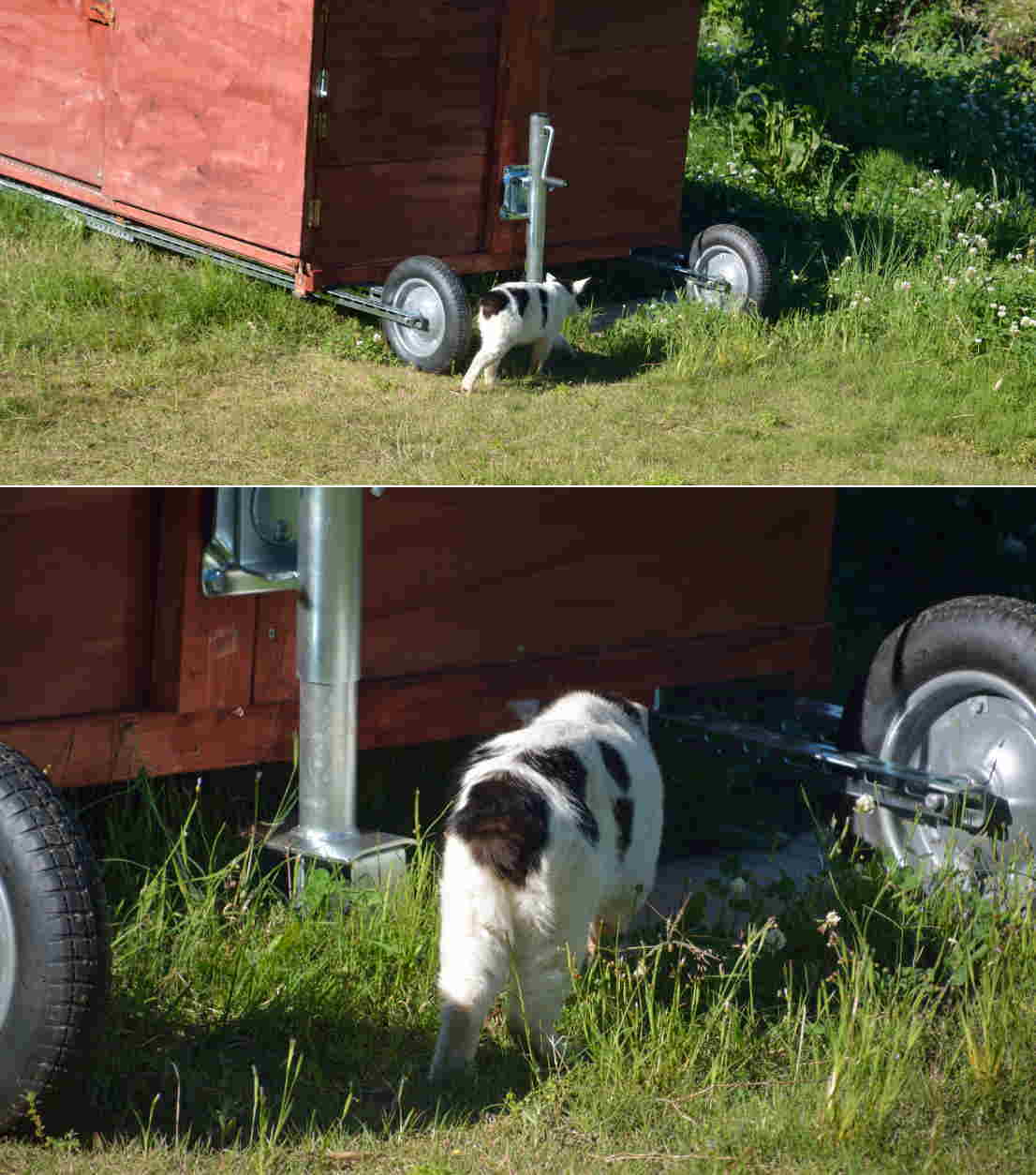 カラス小屋の制作