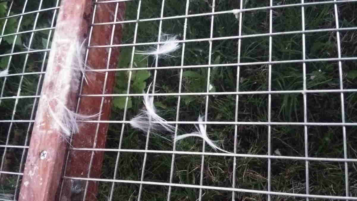 カラス小屋の制作