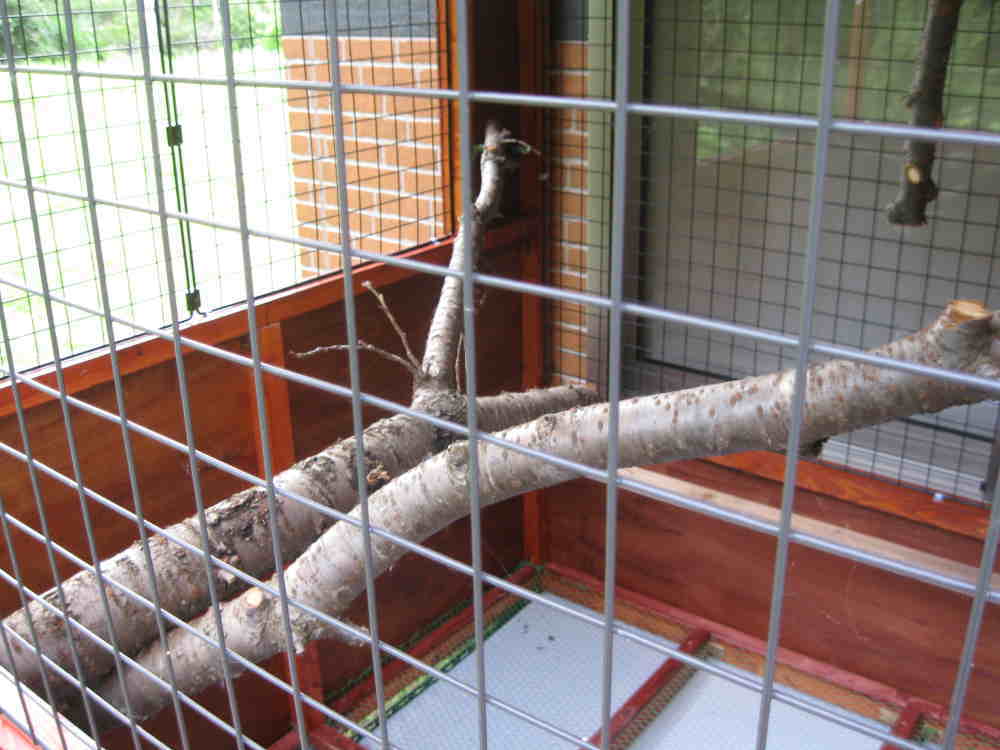 カラス小屋の制作