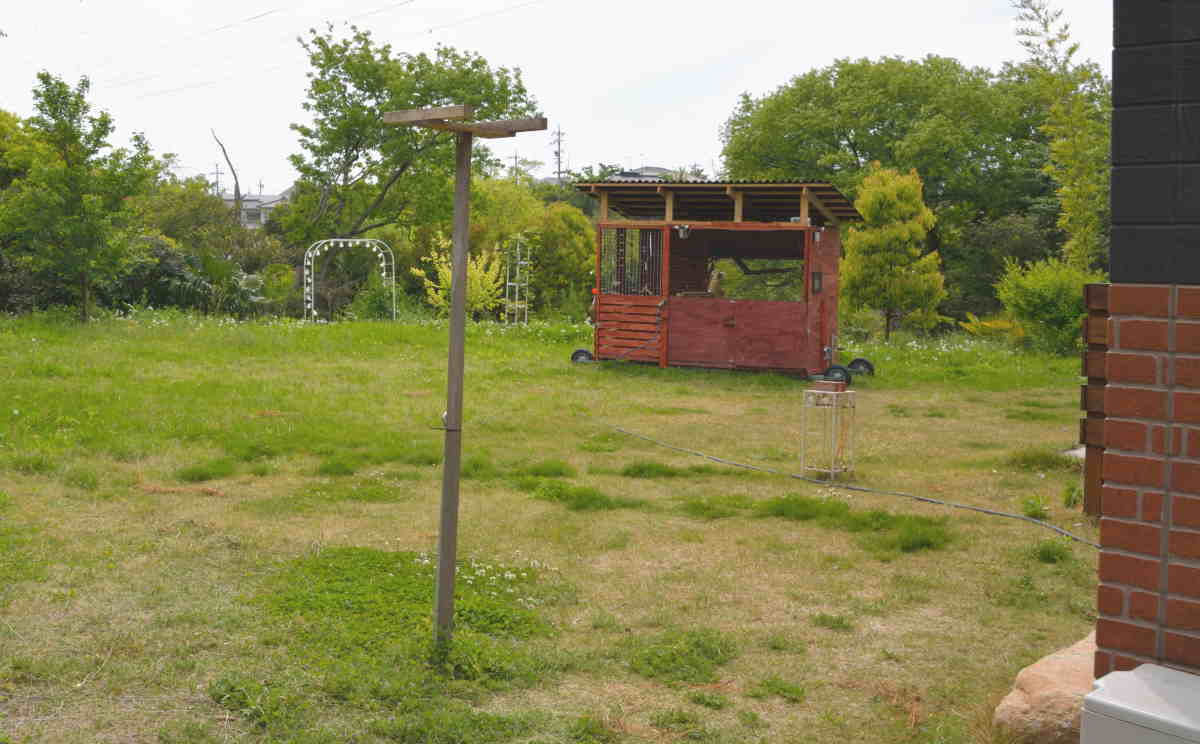 カラスのエサ台