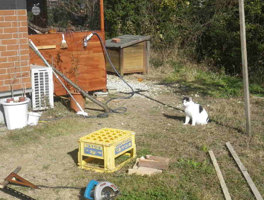 カラス小屋の制作