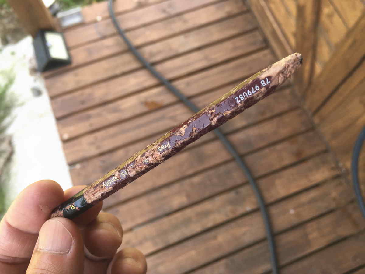 ハシブトガラス