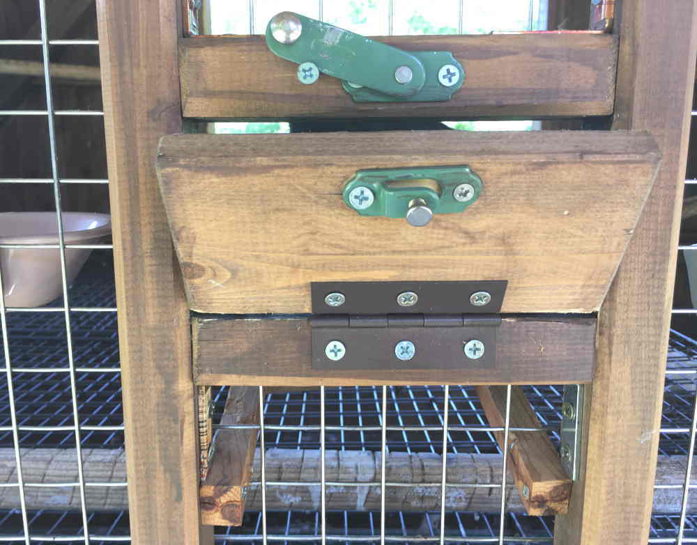 ハシブトガラス