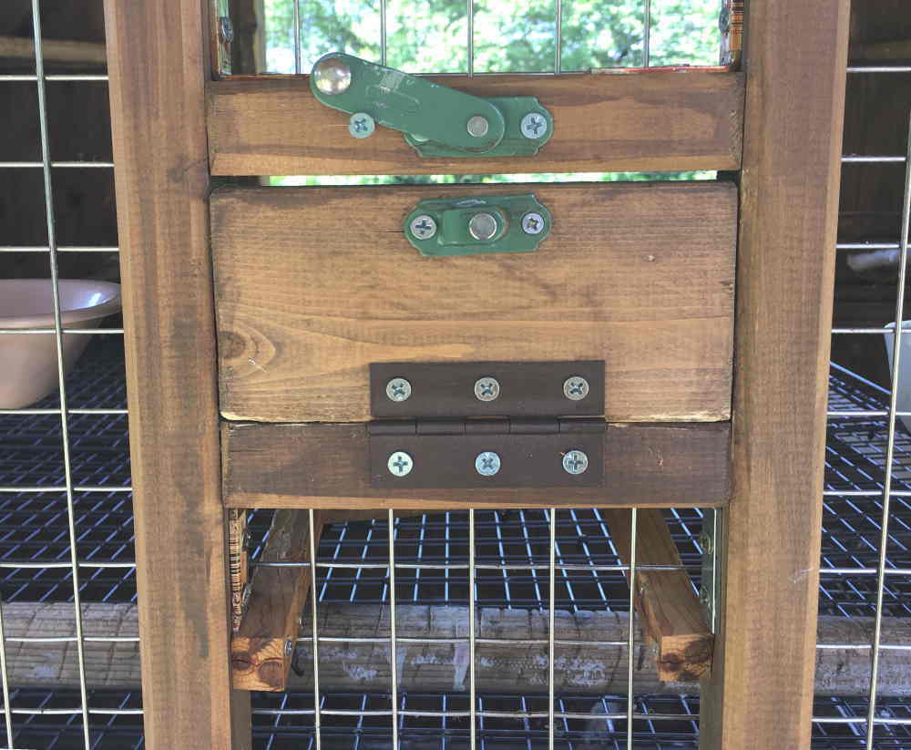 ハシブトガラス