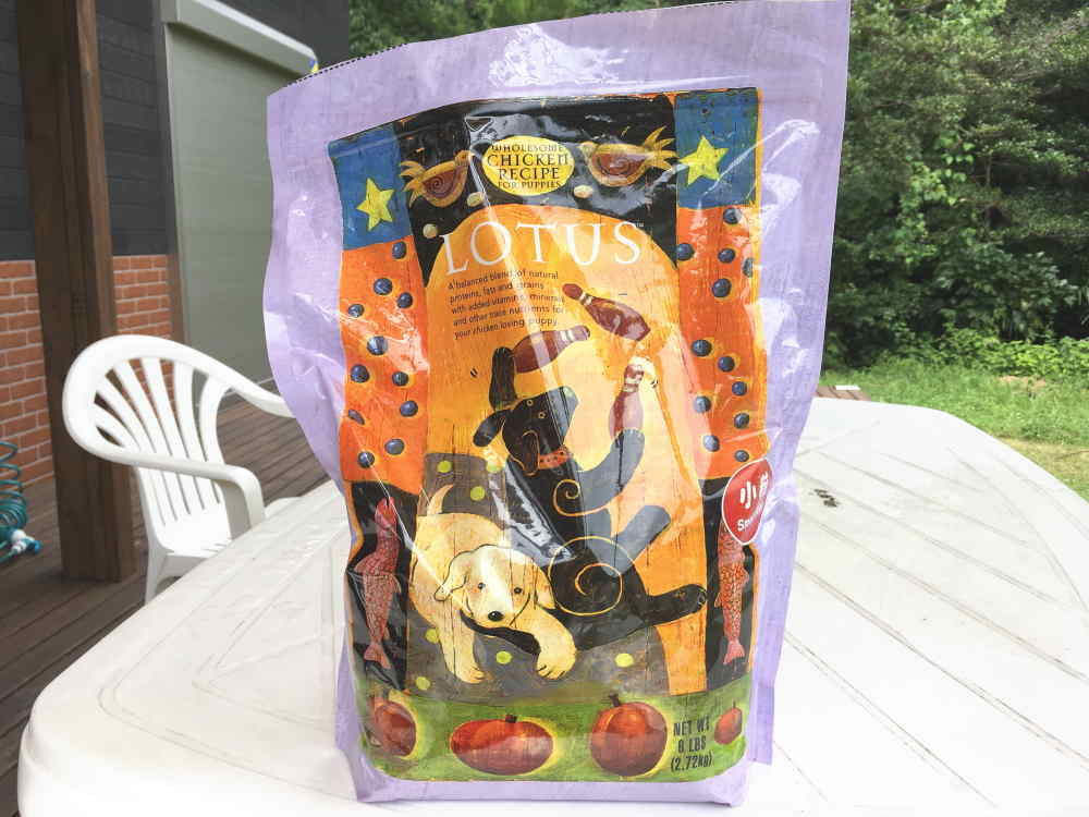 カラスにロータス