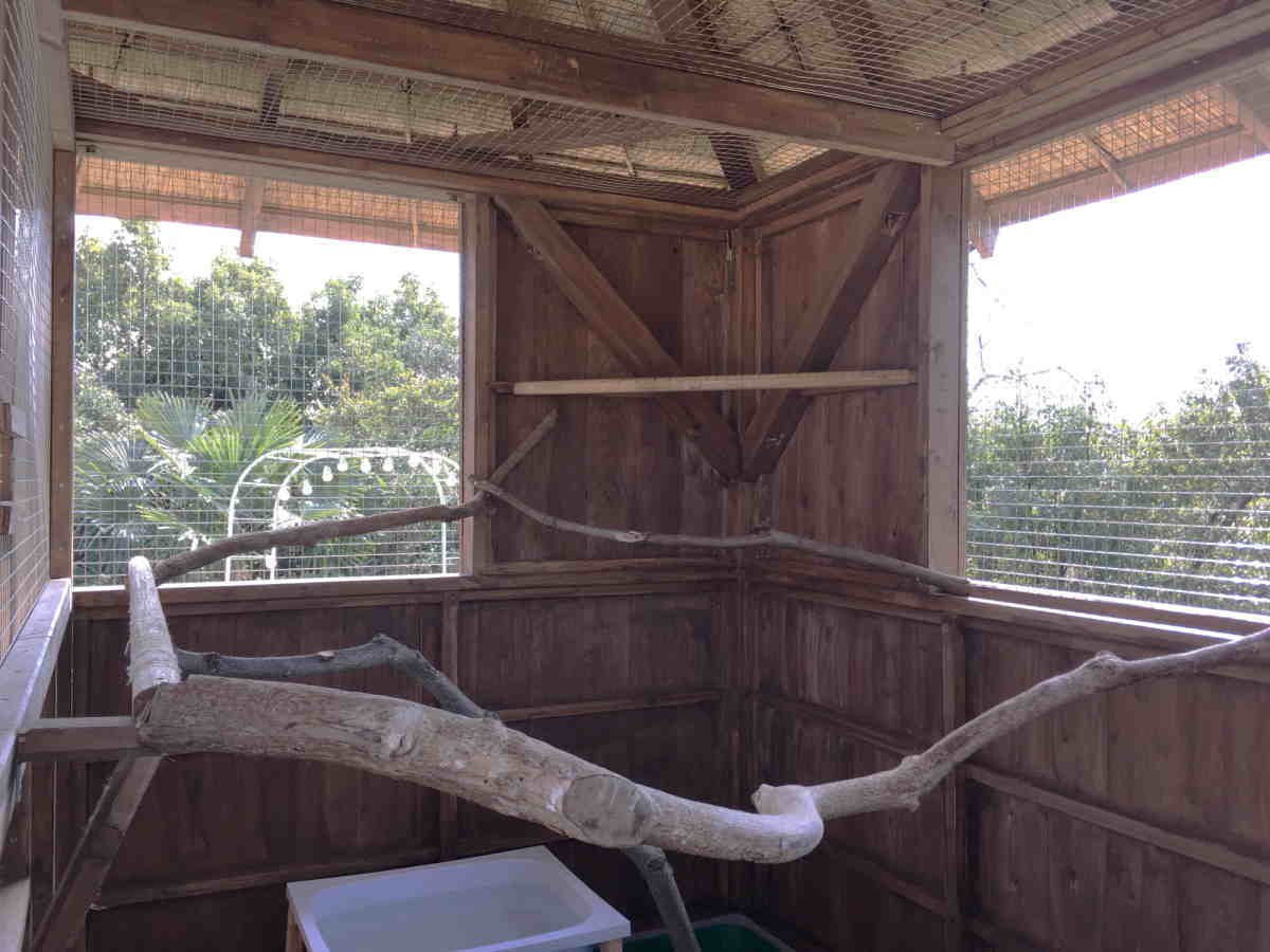 カラス小屋の制作