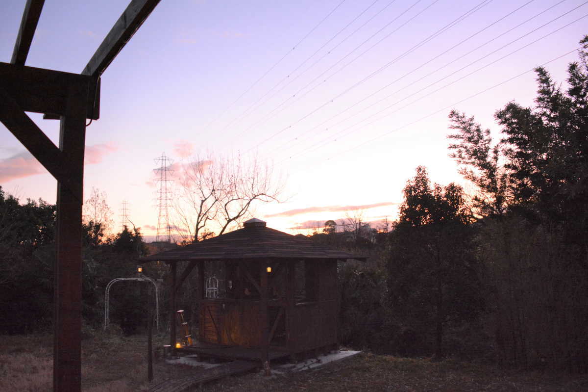 カラスの縄張り争い