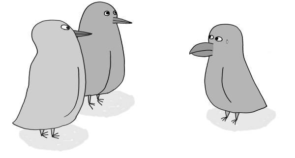 ハシブトガラスVSハシボソガラス