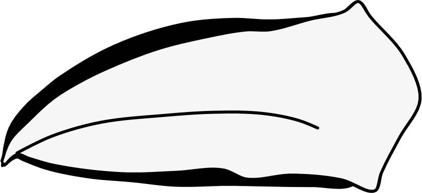 カラスのクチバシ