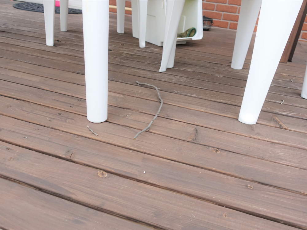 カラスの巣作り部品