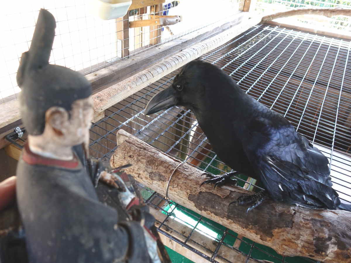 解体した神社の部品