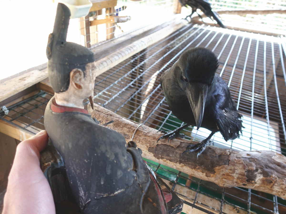 解体した神社の部品