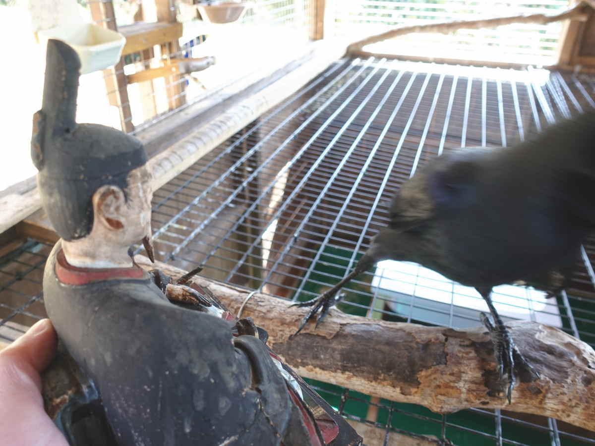 解体した神社の部品