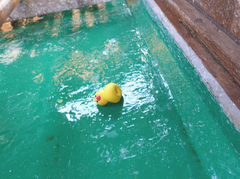 ヒヨコのおもちゃ