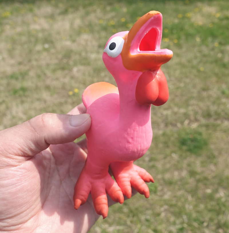 ダチョウのおもちゃ