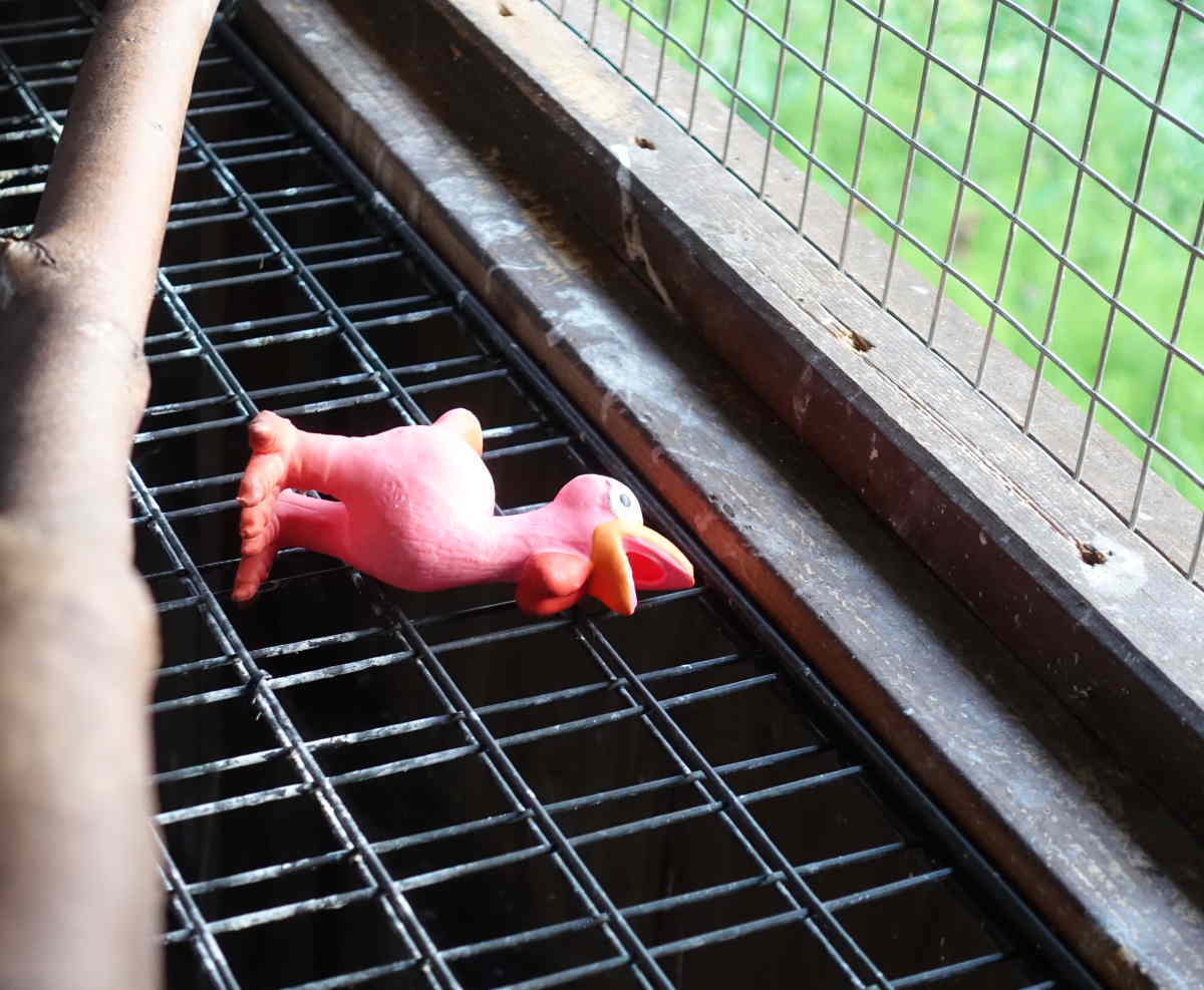 ダチョウのおもちゃ