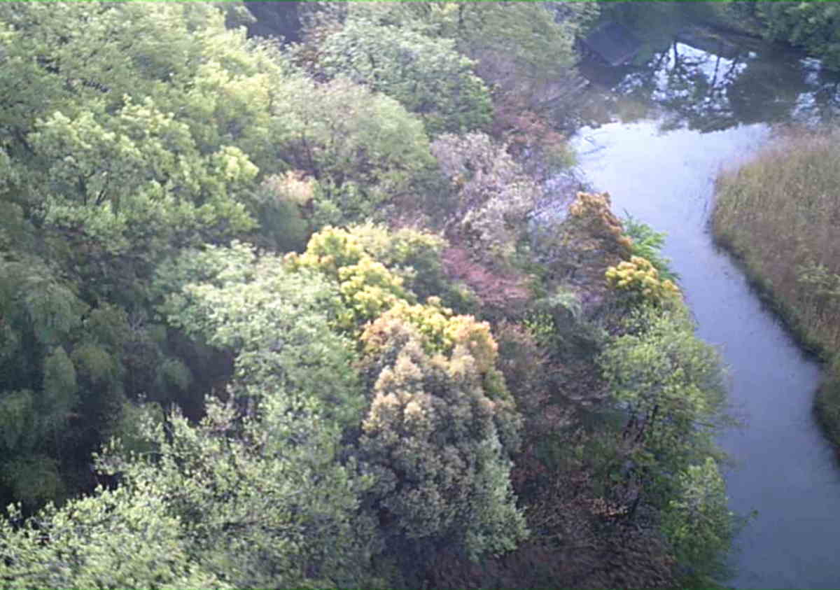 カラスの巣に飛ばすドローン