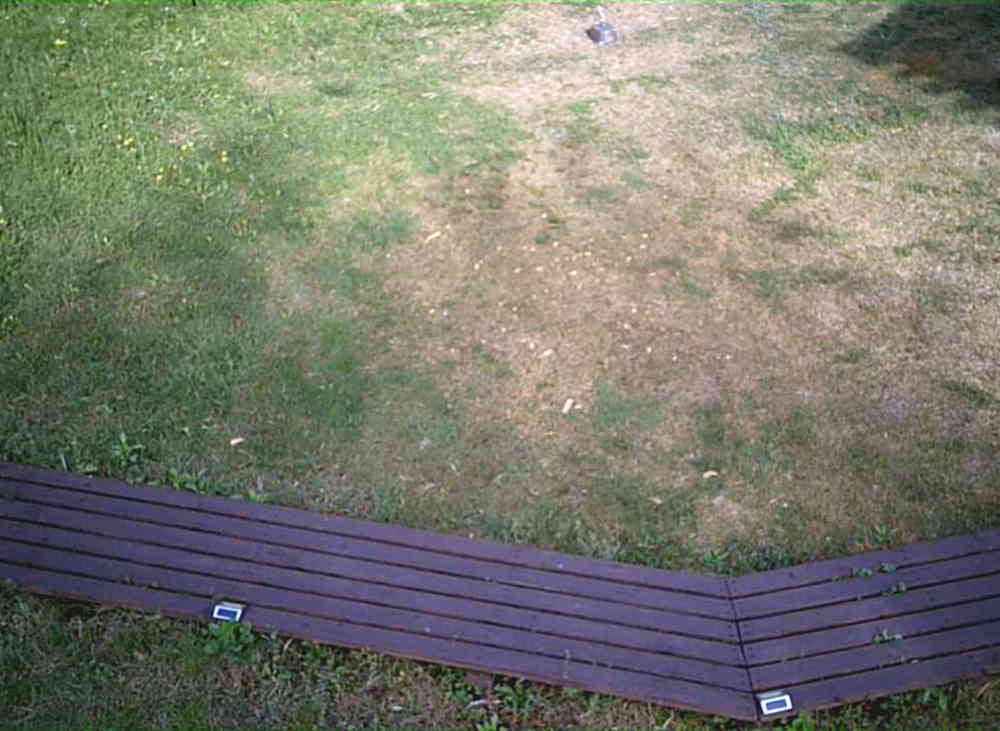 カラスの巣に飛ばすドローン