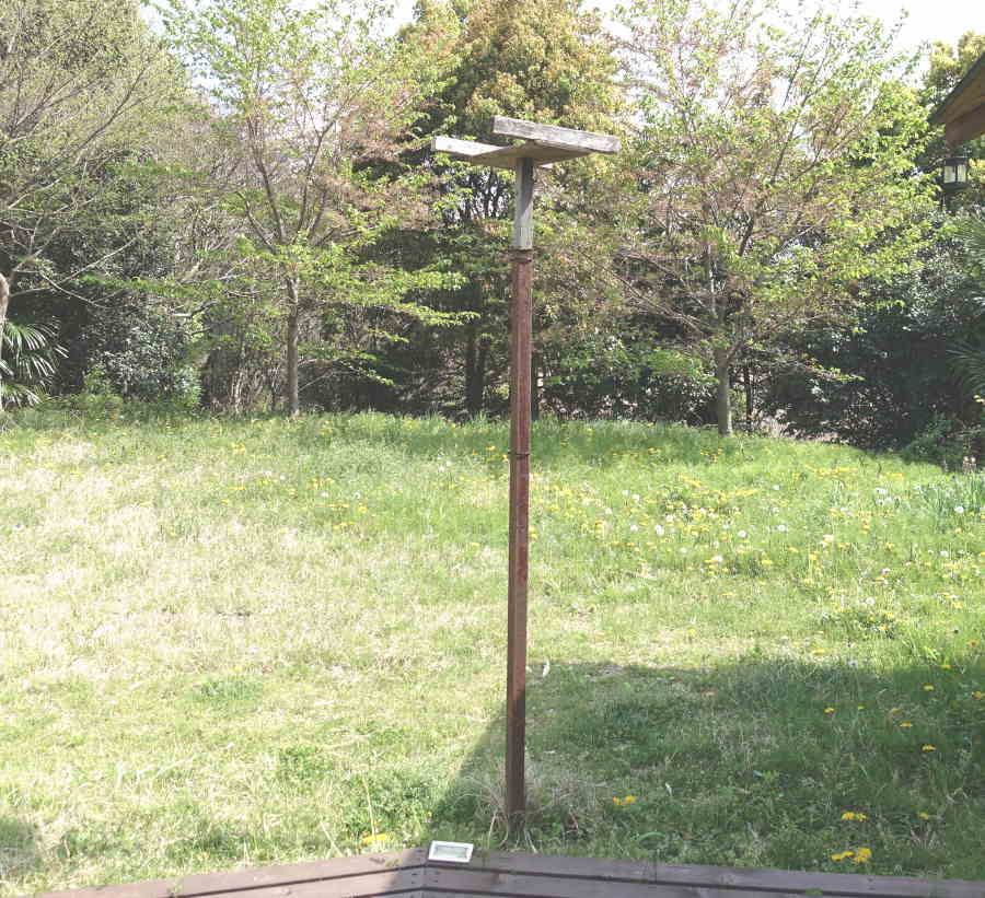 カラスのエサ台