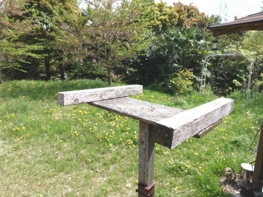 カラスのエサ台