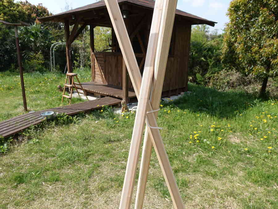 カラスのエサ台