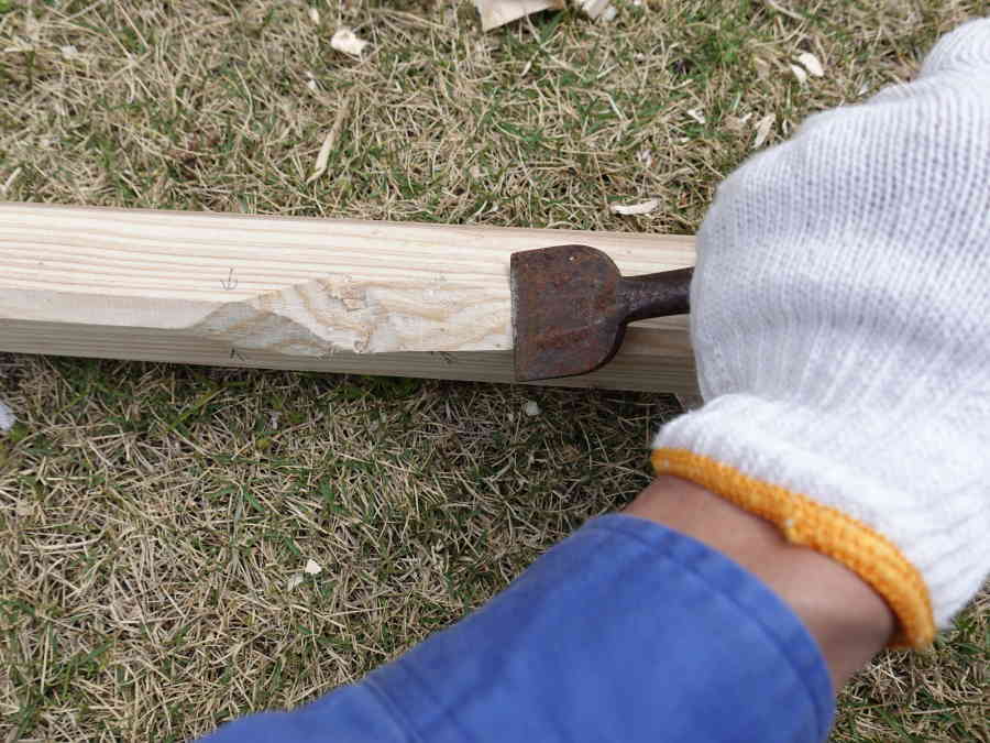 カラスのエサ台