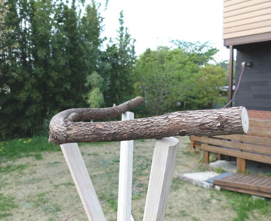 カラスのエサ台