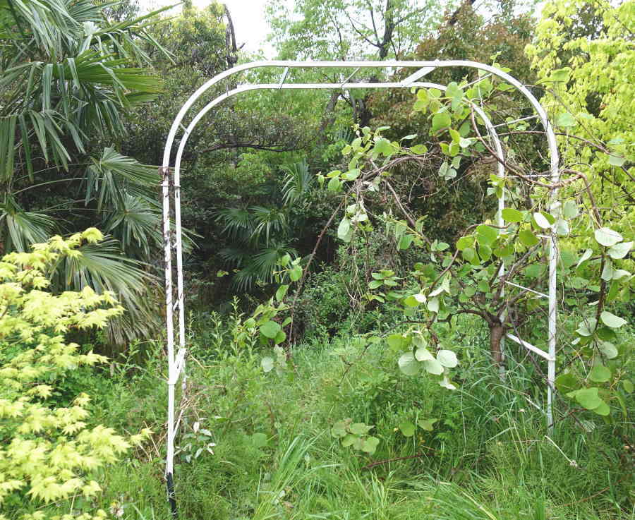 カラスのエサ台