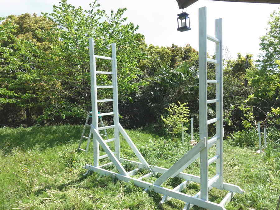 カラスのエサ台