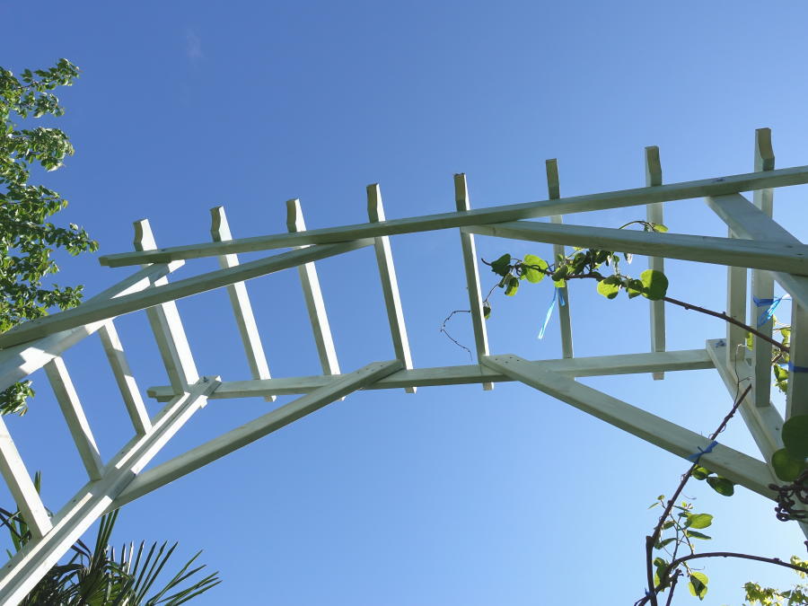 カラスのエサ台