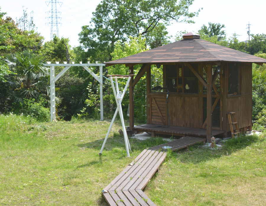 カラスのエサ台