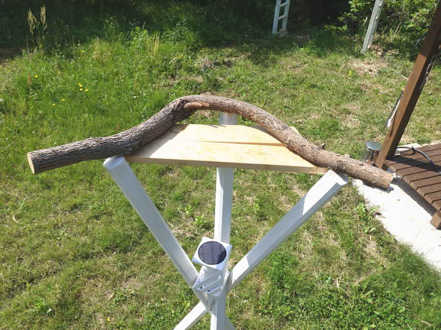 カラスのエサ台