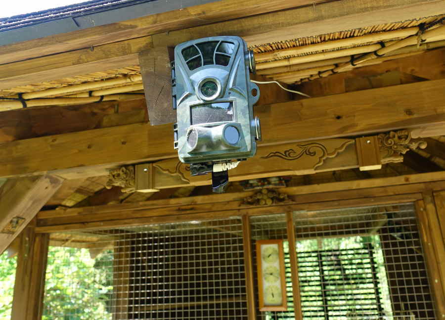 カラスのエサ台