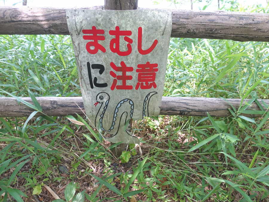 マムシに注意