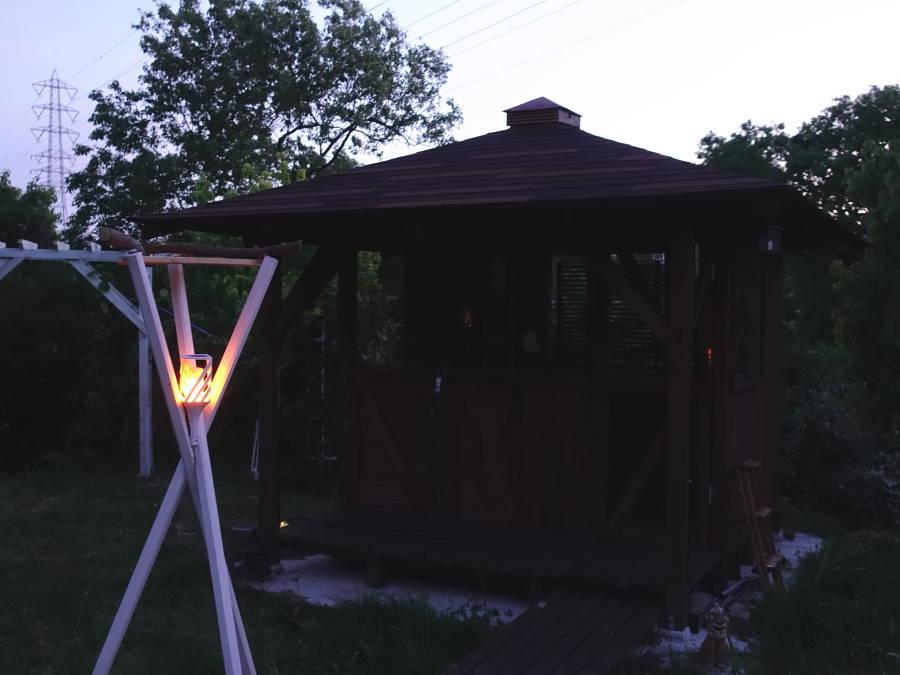 夕暮れのカラス