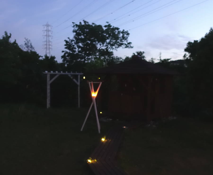 夕暮れのカラス