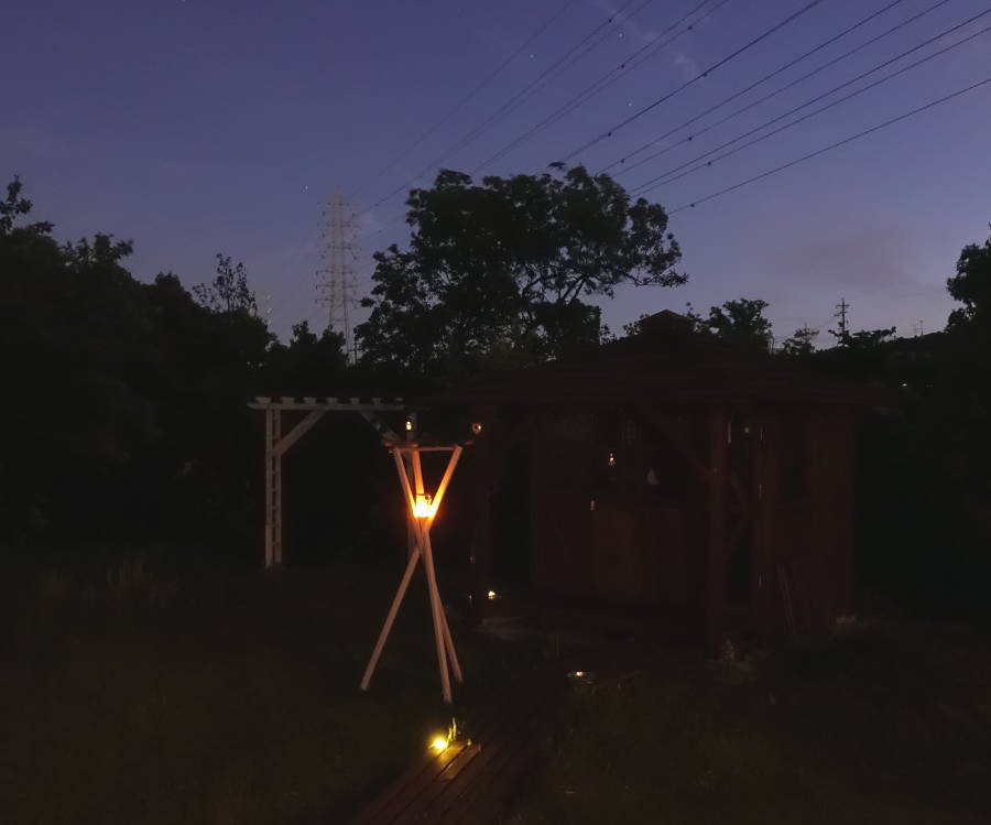 夕暮れのカラス