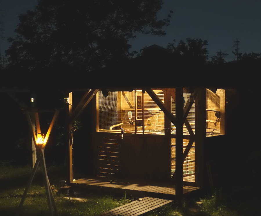 カラス小屋に電灯をつけた