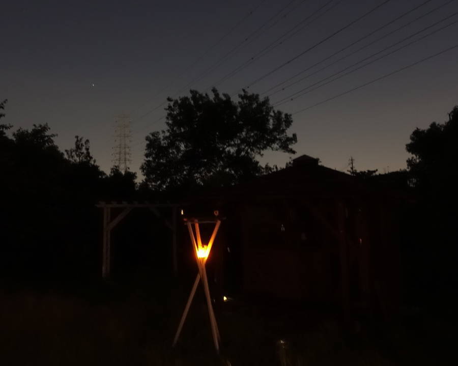 夕暮れのカラス