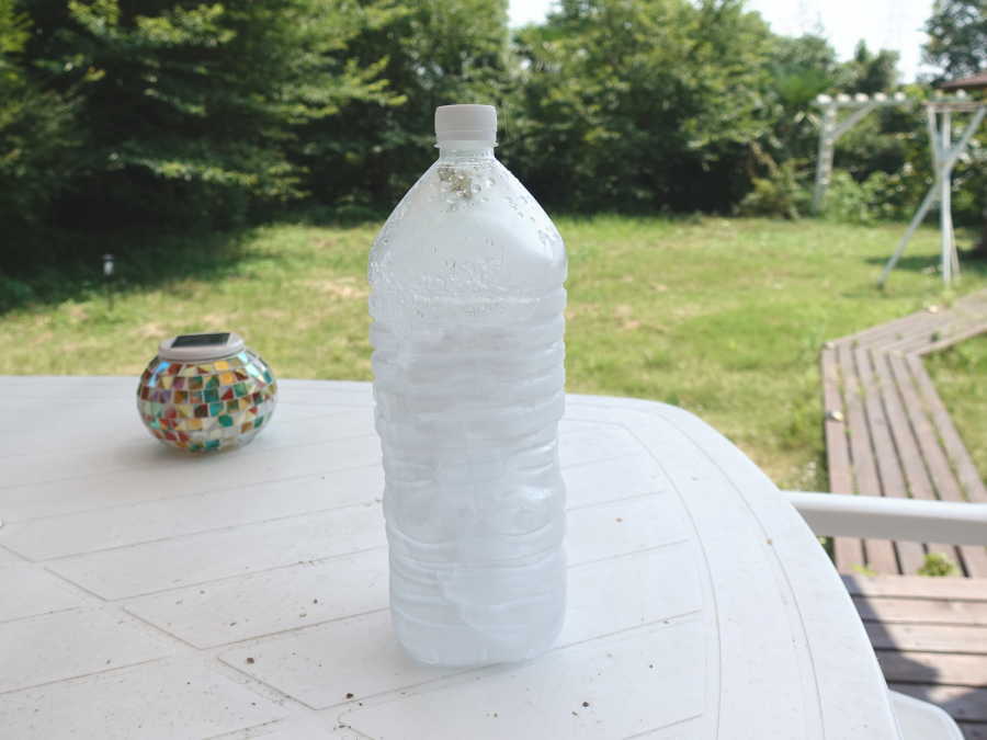 炎天下のカラス