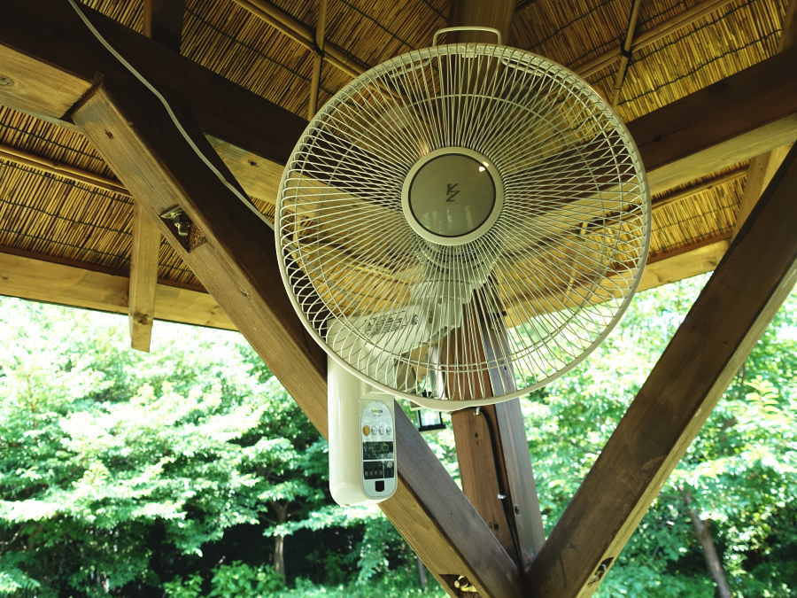 炎天下のカラス