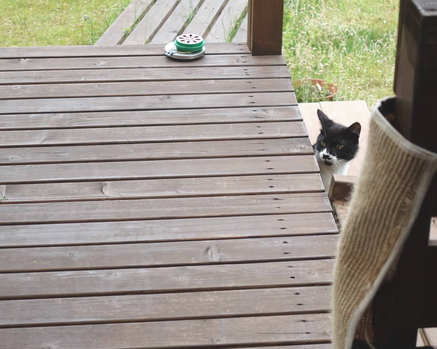 忍び寄るスネ夫