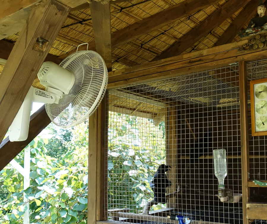 カラス小屋の扇風機