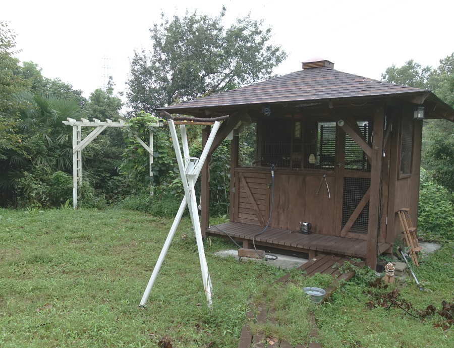 台風が過ぎた後の庭