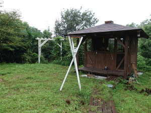 エサ台のスズメ