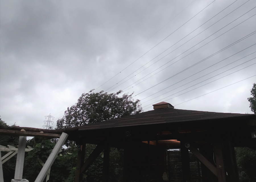 台風迫るカラス