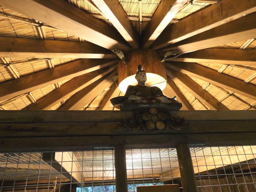 台風迫るカラス