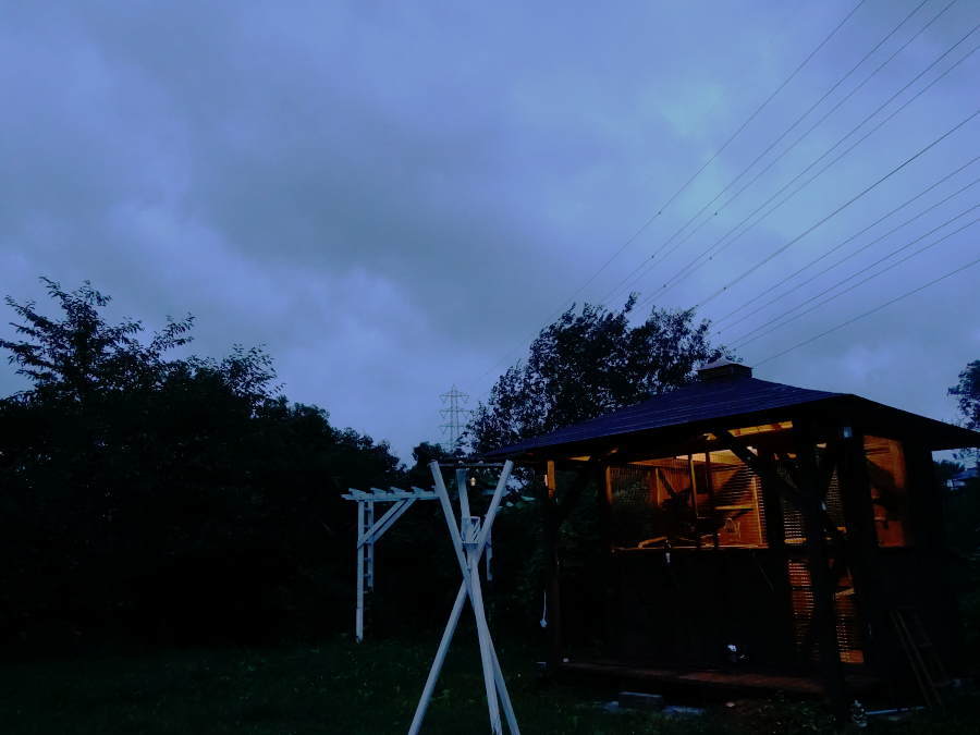 台風迫るカラス