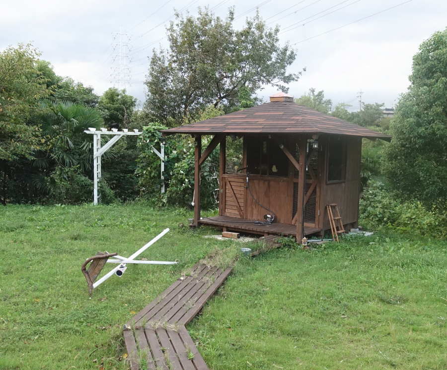 台風通過後の庭の様子